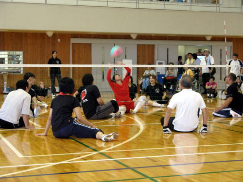 障害者バレーボールMeeting2010