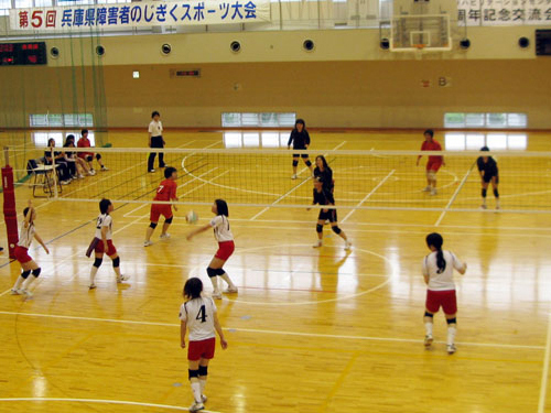 第5回兵庫県障害者のじぎくスポーツ大会（知的バレー、バスケット）