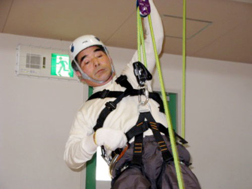 ツリークライミング65回登頂記念