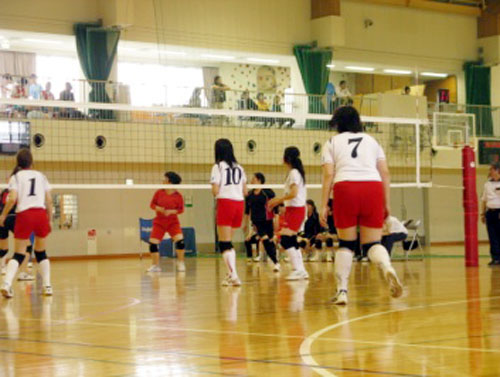 第6回兵庫県障害者のじぎくスポーツ大会(知的バレーボール)