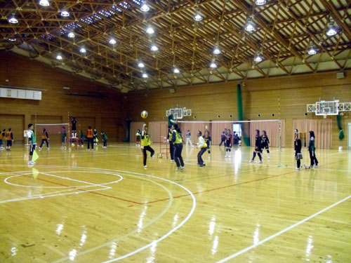 地域交流ソフトバレーボール大会