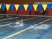 2012[J[jo20kmXC