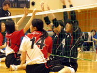 VbeBOo[{[JAPANhƕxmʃeTeamƂ̌𗬎