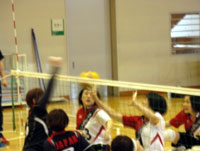 VbeBOo[{[JAPANhƕxmʃeTeamƂ̌𗬎