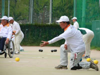 8񖼌É[{EY2013