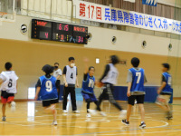 17񕺌ɌQ҂̂X|[cioXPbg{[/mIj