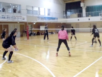 一般スポーツ団体との交流事業 バレーボール競技交流会