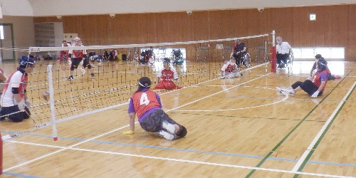 東京パラリンピック開催記念スポーツ交流大会兼のじぎく杯ローリングバレーボール大会