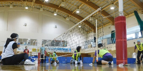 東京パラリンピック開催記念スポーツ交流大会兼のじぎく杯ローリングバレーボール大会