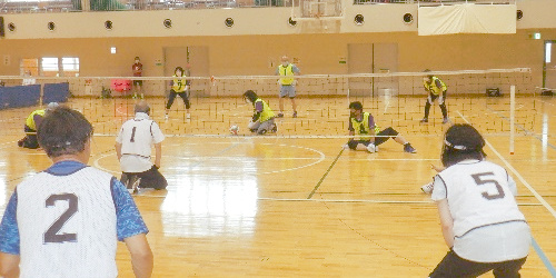 東京パラリンピック開催記念スポーツ交流大会兼のじぎく杯ローリングバレーボール大会
