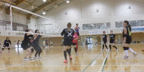 一般スポーツ団体との交流事業 バレーボール競技交流会