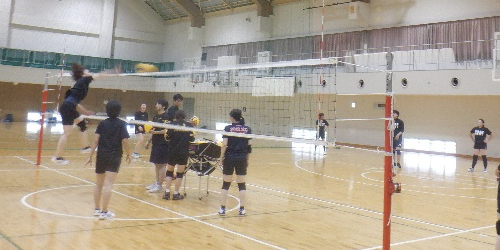 一般スポーツ団体との交流事業 バレーボール競技交流会