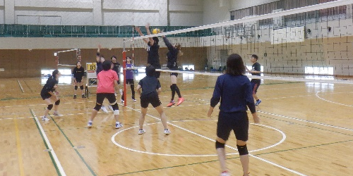 一般スポーツ団体との交流事業 バレーボール競技交流会