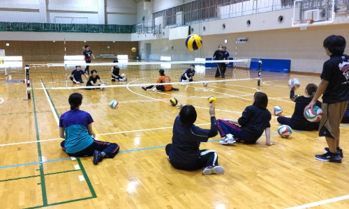 パラバレーボール競技交流事業